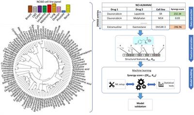 Predicting Synergism of Cancer Drug Combinations Using NCI-ALMANAC Data